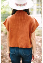 Unique sweater knit top with short sleeves