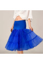 Blue tulle women's petticoat