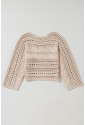 Hollow-out Cable Knit Cropped Sweater