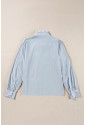 Sky Blue Stripe Frilled Trim Button Up Long Sleeve Shirt