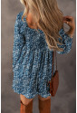 Blue Floral Print Sweetheart Neck Shirred Back Mini Dress