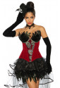 Beautiful red burlesque corset with feather