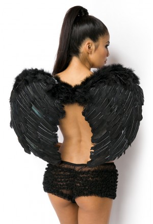 Čierne anjelské krídla padlý anjel