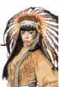 Beautiful native american indian costume set