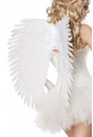 Big white angel wings