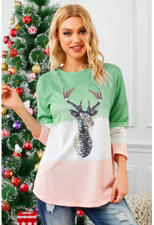 Reindeer Print Gradient Colorblock Sweatshirt